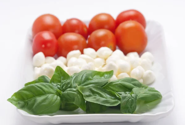 Caprese Insalata primo piano — Foto Stock