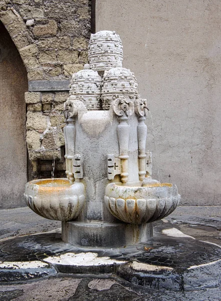 サンピエトロ広場、バチカン市国、ローマの噴水 — ストック写真