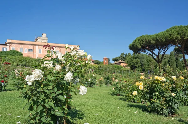 Giardino Comunale Delle Rose Roma Foto Stock Royalty Free