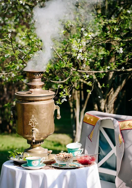 Traditional russian tea with old samovar in green garden in spring