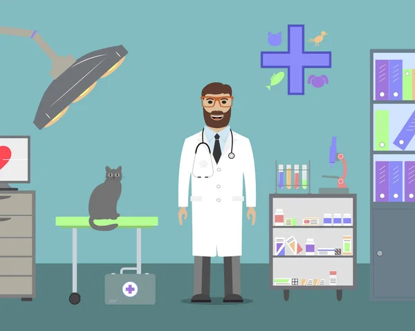 Veterinární lékař s kočkou. — Stockový vektor
