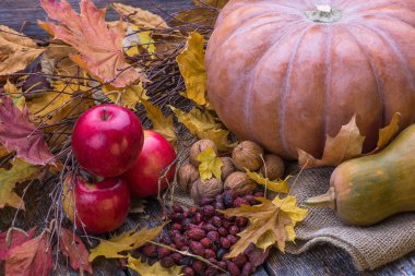 Kabak, kartopu, fındık, elma ve sonbahar yaprakları eski bir ahşap arka plan