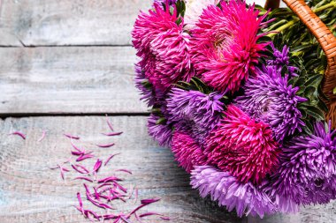 Aster çiçek buketi mor kırmızı pembe beyaz ahşap arka plan. seçici odak