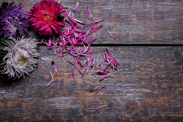 Aster flores buquê roxo vermelho rosa branco sobre um fundo de madeira. foco seletivo — Fotografia de Stock