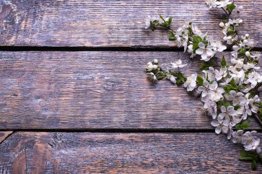Bir tabloda, ahşap arka plan bir vazoda çiçek açması beyaz kiraz Şubesi. Üstten Görünüm