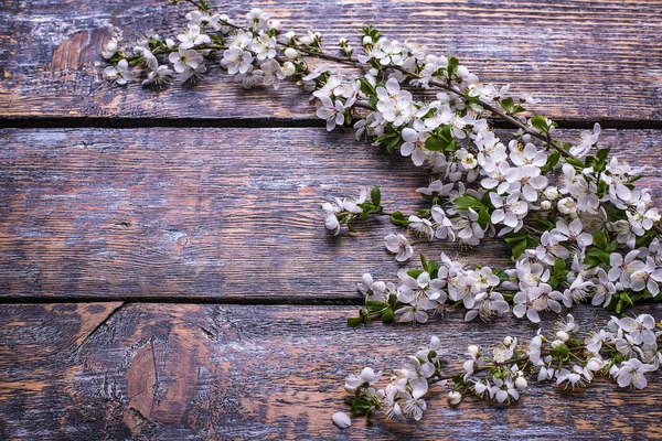 Flores Cerezo Sobre Fondo Madera Enfoque Selectivo — Foto de Stock