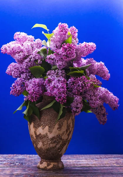 Lilac flowers bouquet purple red pink white on a blue background. selective focus