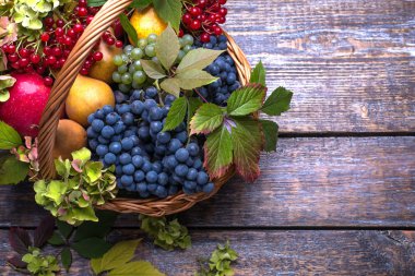 Meyve sepeti: elmalar, armutlar, üzümler kırmızı, beyaz, viburyum, ortanca çiçekleri ve ahşap arka planda sonbahar yaprakları. Üst görünüm