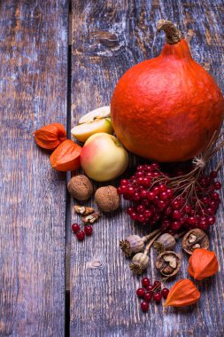 Kabak, elma, kartopu, physalis, briar, fındık ve sonbahar yaprakları eski bir ahşap arka plan.