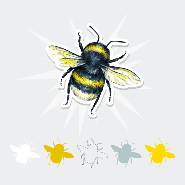 bumble bee drawing bumble bee drawing