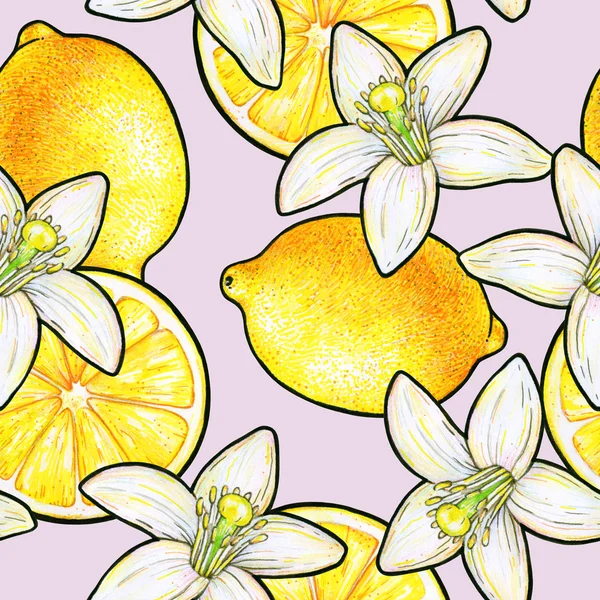 Bellissimi limoni gialli e fiori bianchi agrumi isolati su sfondo rosa. Fiori limone scarabocchio disegno. Modello senza cuciture — Foto Stock