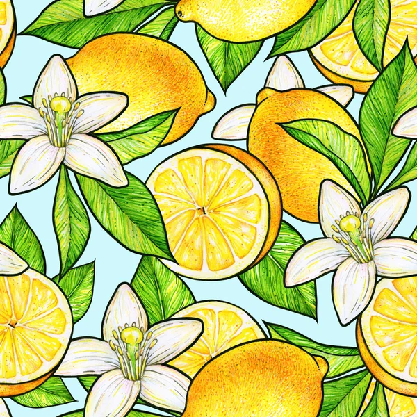 Bellissimi limoni gialli e fiori bianchi agrumi con foglie verdi su sfondo blu. Fiori limone scarabocchio disegno. Modello senza cuciture — Foto Stock