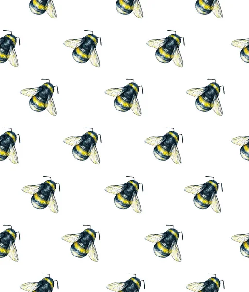 Bumblebee on a white background. Watercolor drawing. Insects art. Handwork. Seamless pattern — Stock Photo, Image