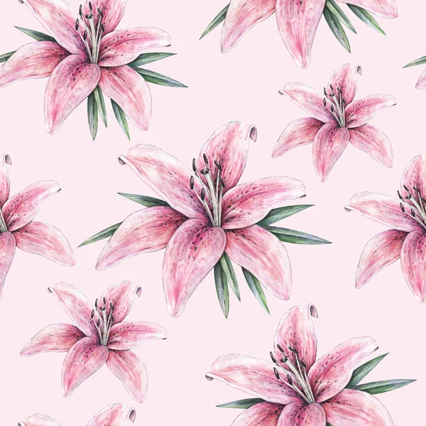 Pink lily flowers isolated on pink background. Watercolor handwork illustration. Drawing of blooming lily with green leaves. Seamless pattern with lilies for design — Stock Photo, Image