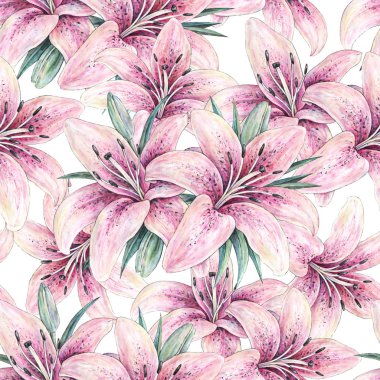 Beyaz arka plan üzerinde izole pembe lily çiçekler. Suluboya işlemeli illüstrasyon. Çizim çiçek açan lily ile yeşil yaprakları. Zambak tasarım ile Seamless Modeli