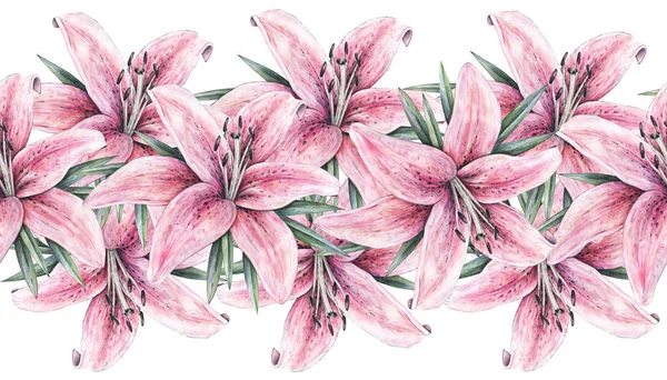 Beyaz arka plan üzerinde izole pembe lily çiçekler. Suluboya işlemeli illüstrasyon. Çizim çiçek açan lily ile yeşil yaprakları. Zambak tasarım ile Seamless Modeli çerçeve kenarlığı