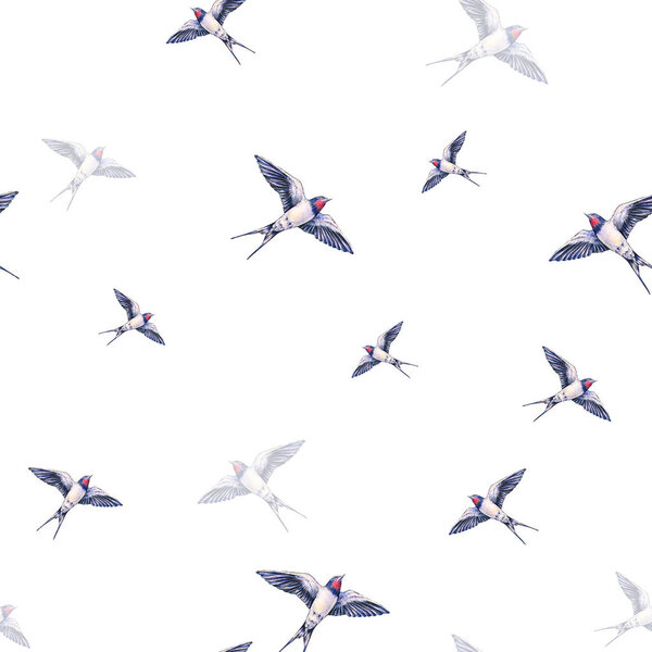 Beautiful swallow on a white background. Watercolor illustration. Spring bird brings love. Handwork. Seamless pattern 