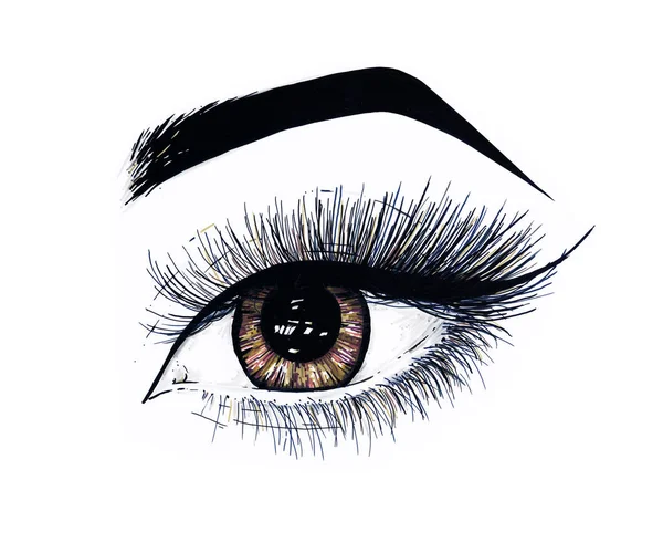 Krásné otevřené ženské oko s dlouhé řasy je izolované na bílém pozadí. Make-upu šablona ilustrace. Barevná skica fixy. Ruční práce. Rychle, Schematický nákres — Stock fotografie