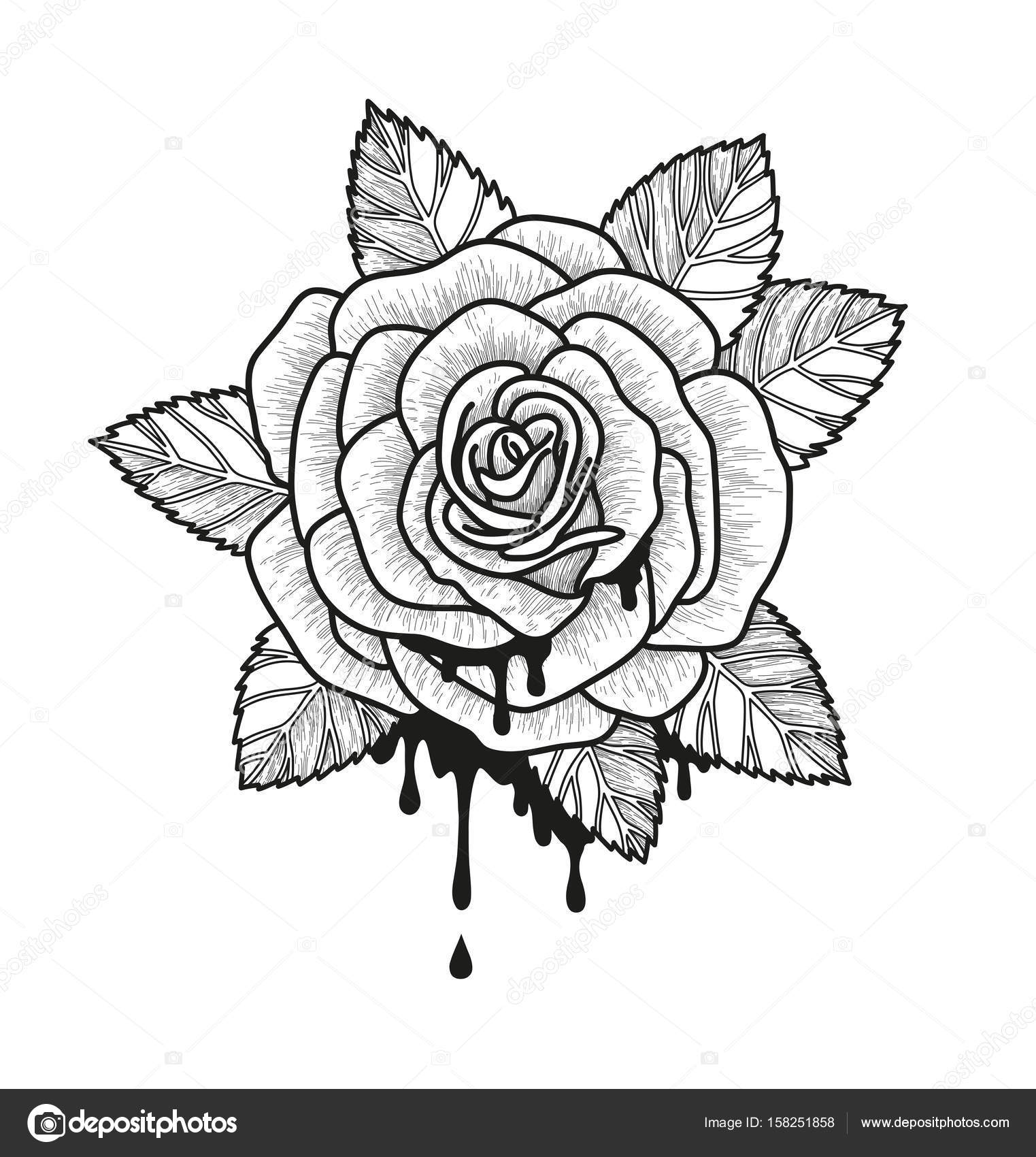 Rose Flower Monochrome Vector Illustration Beautiful Rose