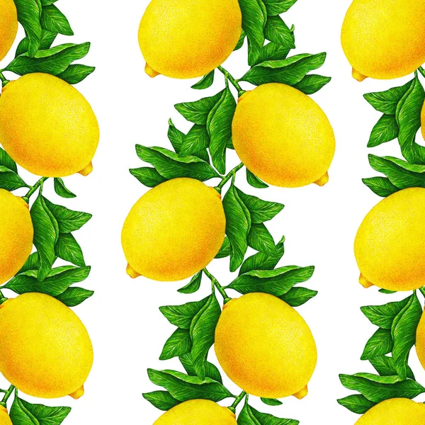 Grande Illustrazione Bellissimi Frutti Limone Gialli Ramo Con Foglie Verdi — Foto Stock