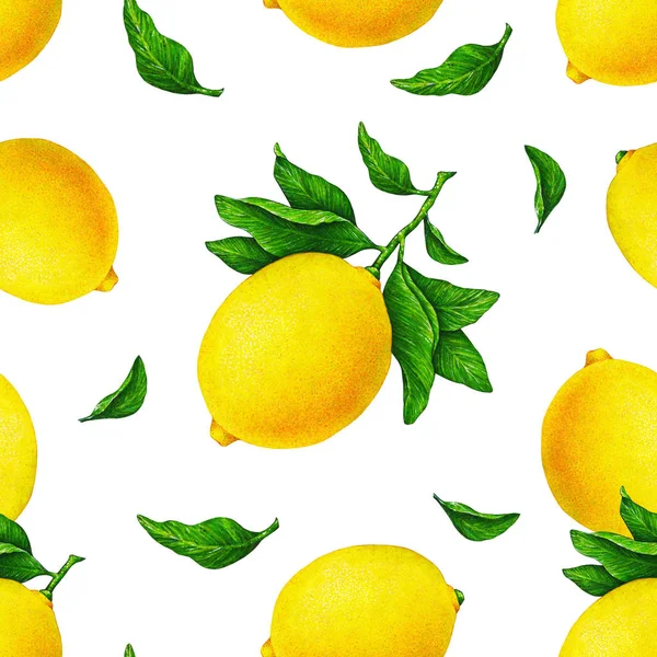Иллюстрация Красивых Желтых Лимонных Фруктов Ветке Зелеными Листьями Выделенными Белом — стоковое фото