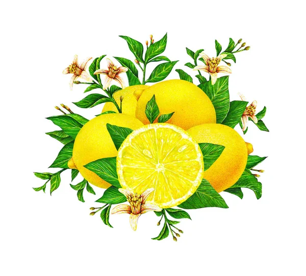 Gyönyörű Sárga Citrom Gyümölcs Zöld Levelek Virágok Elszigetelt Fehér Háttér — Stock Fotó