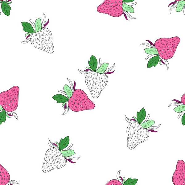 Fresa Sobre Fondo Blanco Dibujo Vectorial Fresas Trabajo Hecho Mano — Archivo Imágenes Vectoriales