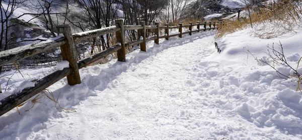 Snow and curved walkway in the forest Noboribetsu onsen — Stock Photo, Image