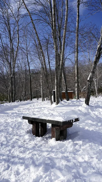 Snow and bench in the walkway forest Noboribetsu onsen — Stock Photo, Image