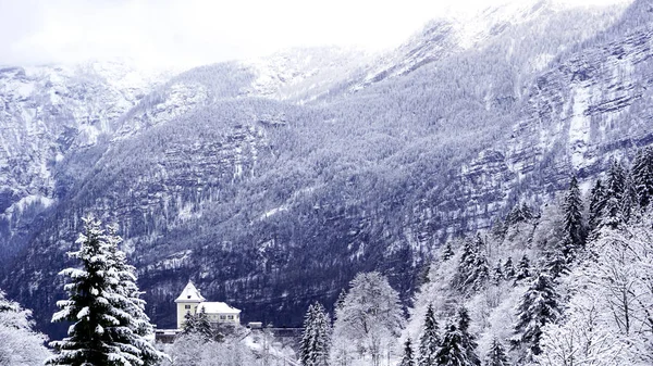 Point de vue de Hallstatt Le paysage hivernal de montagne de neige à travers la forêt dans la vallée des hautes terres mène à l'ancienne mine de sel de Hallstatt, Autriche — Photo