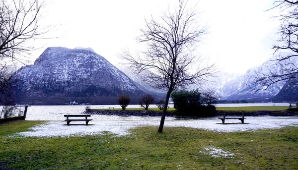 Escena del lago Hallstatt y campo de hierba verde al aire libre y banco — Foto de Stock