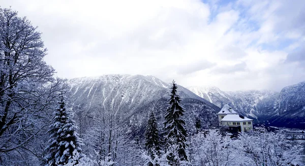 Hallstatt Vinter snö berg landskap tallskog i Upla — Stockfoto