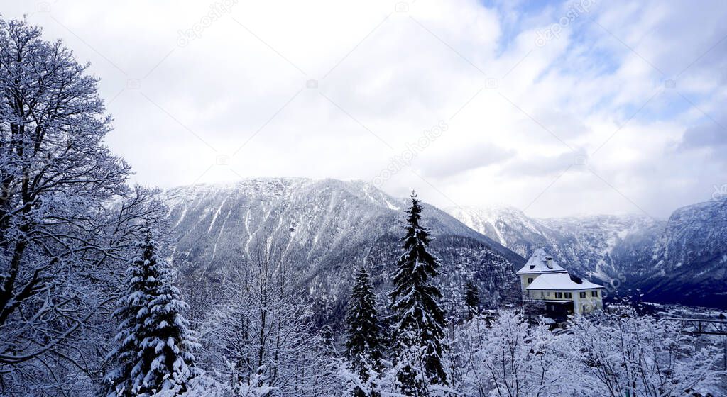 Hallstatt Winter snow mountain landscape the pine forest in upla