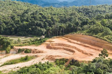 Geliştirme için temizlemek tropikal orman
