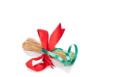 Köpek kemiği Noel hediyesi yeşil ve kırmızı kurdele ile sarılmış