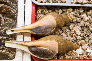 Canlı deniz salyangozları pazarında, incelik Çince arasında yığını