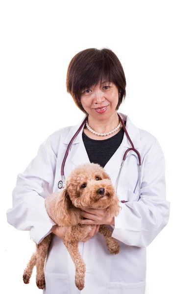 Smiling Asian female veterinary doctor hugging pet dog — Stock Photo, Image