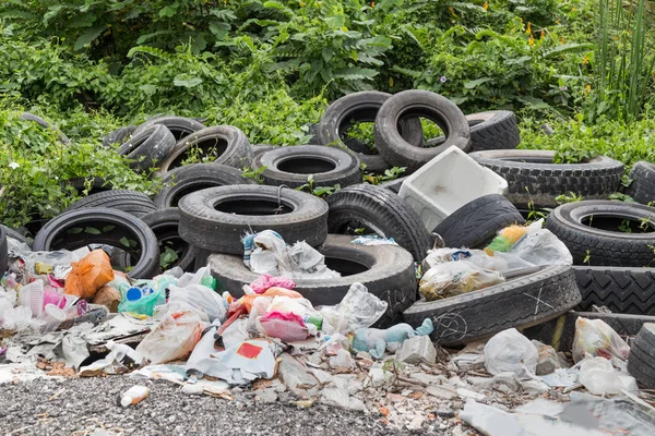 Використана шина на сміттєзвалищі збирає комарів для дощової води — стокове фото