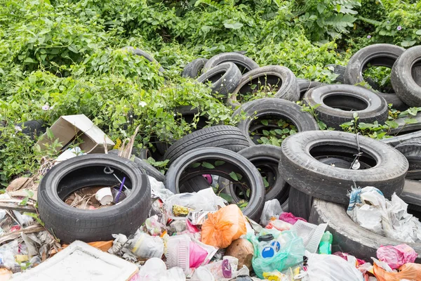 Použité pneumatiky na odpadky výpis shromažďování dešťové vody plemeno komár — Stock fotografie