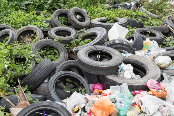 Used tyre at garbage dump collect rain water breed mosquito — Stock Photo, Image