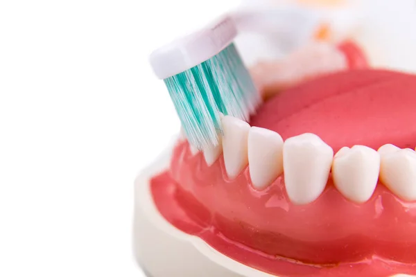 Dimostrazione su spazzolino da denti a setole affusolate morbide e sottili — Foto Stock