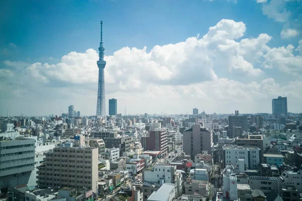 Vista panorámica del paisaje urbano de Tokio Japón dentro del área de Sumida —  Fotos de Stock