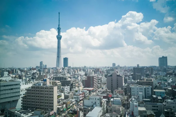 Scenic view of Tokyo Japan cityscape  within Sumida area — Stock Photo, Image