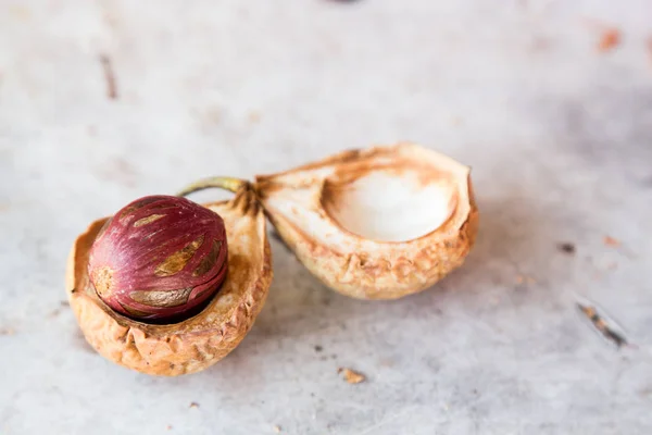 Крупный план свежих фруктов мускатного ореха с семенем булавы — стоковое фото