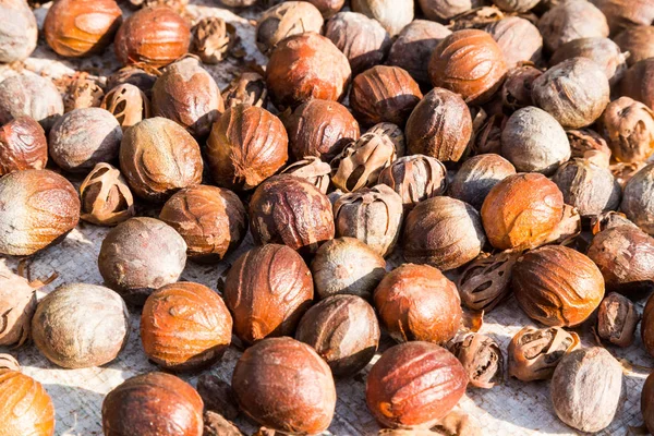 Крупный план свежего семени мускатного ореха, высушенного под солнцем — стоковое фото