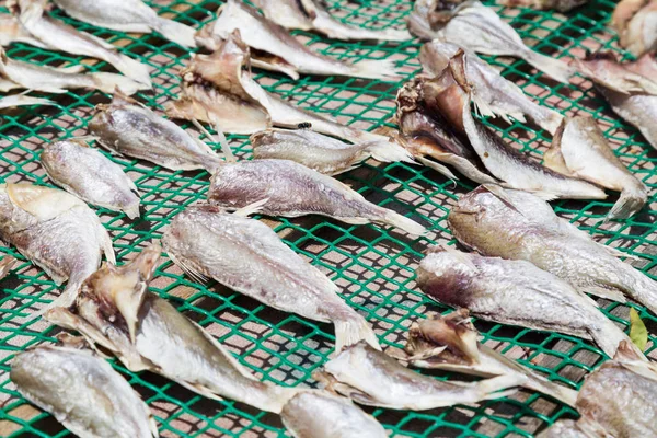 Pesce essiccato al sole con sale in Malesia — Foto Stock