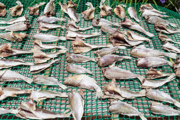 Pesce essiccato al sole con sale in Malesia — Foto Stock