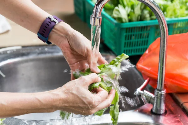 Χέρι πλύσιμο φυλλώδη λαχανικά με τρεχούμενο νερό οικιακής χρήσης αμαρτία — Φωτογραφία Αρχείου