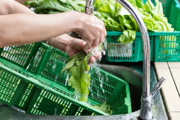 Hand washing leafy vegetable with running water in household sin — Stock Photo, Image