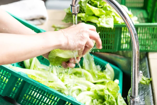 Håndvask av bladgrønnsaker med rennende vann i husholdningssynd – stockfoto